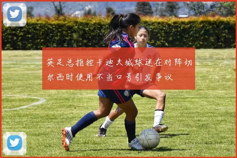 英足总指控卡迪夫城球迷在对阵切尔西时使用不当口号引发争议