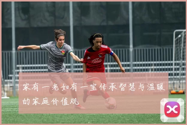 家有一老如有一宝传承智慧与温暖的家庭价值观